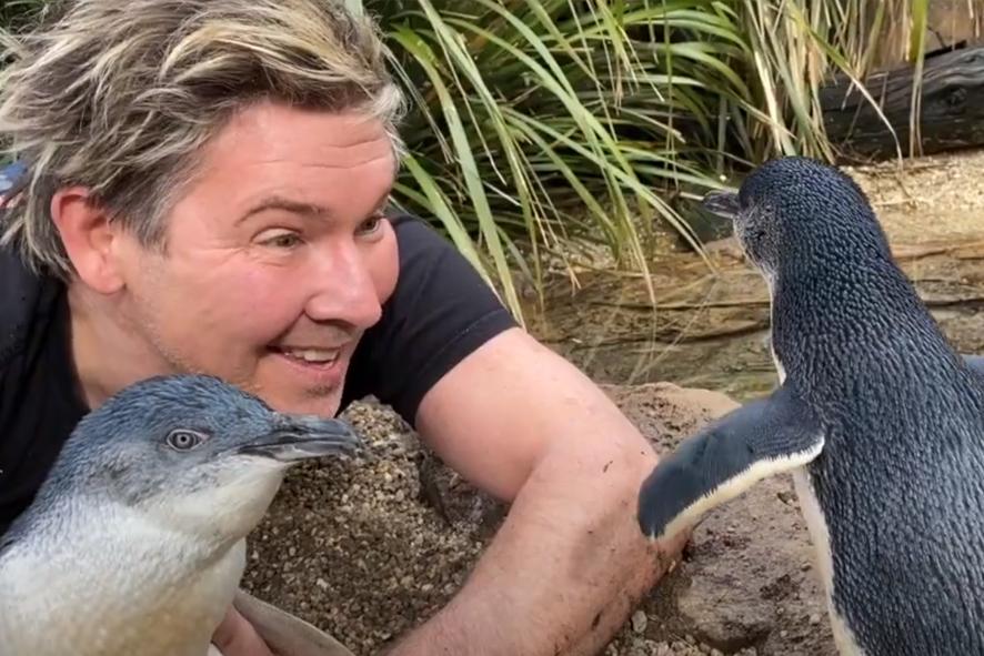 TV Zoologist Chris Humfrey holding a penguin